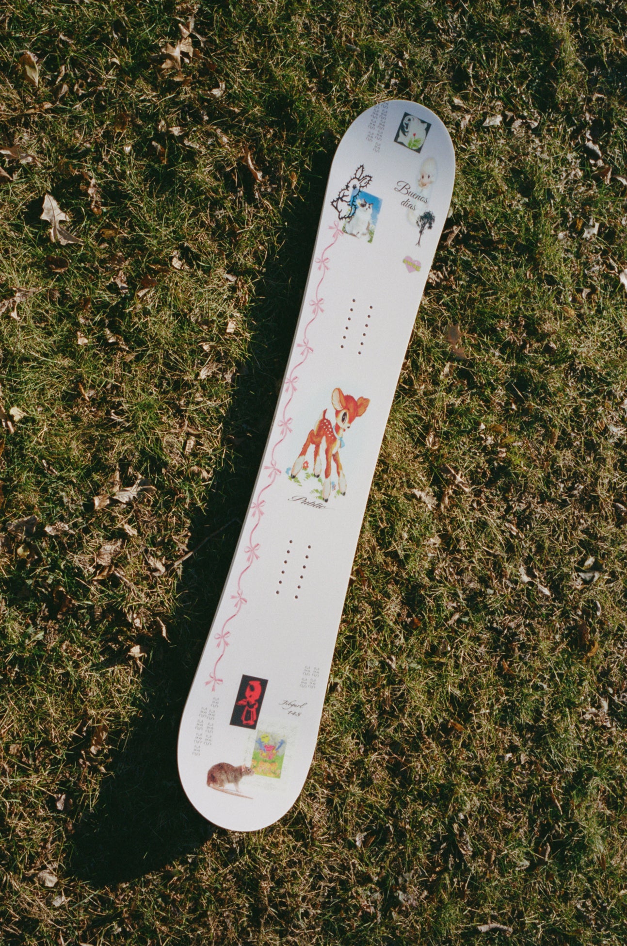 Snowboards – PUBLIC snowboards