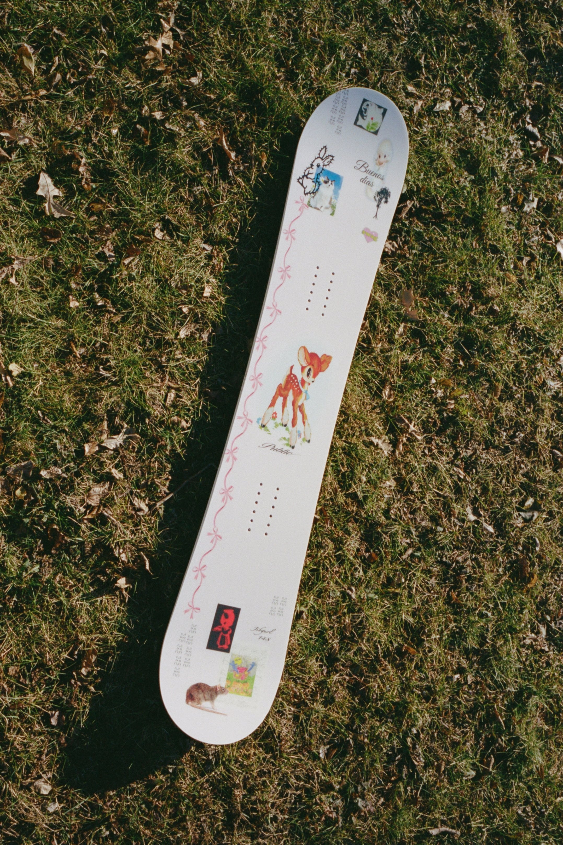 Snowboards – PUBLIC snowboards