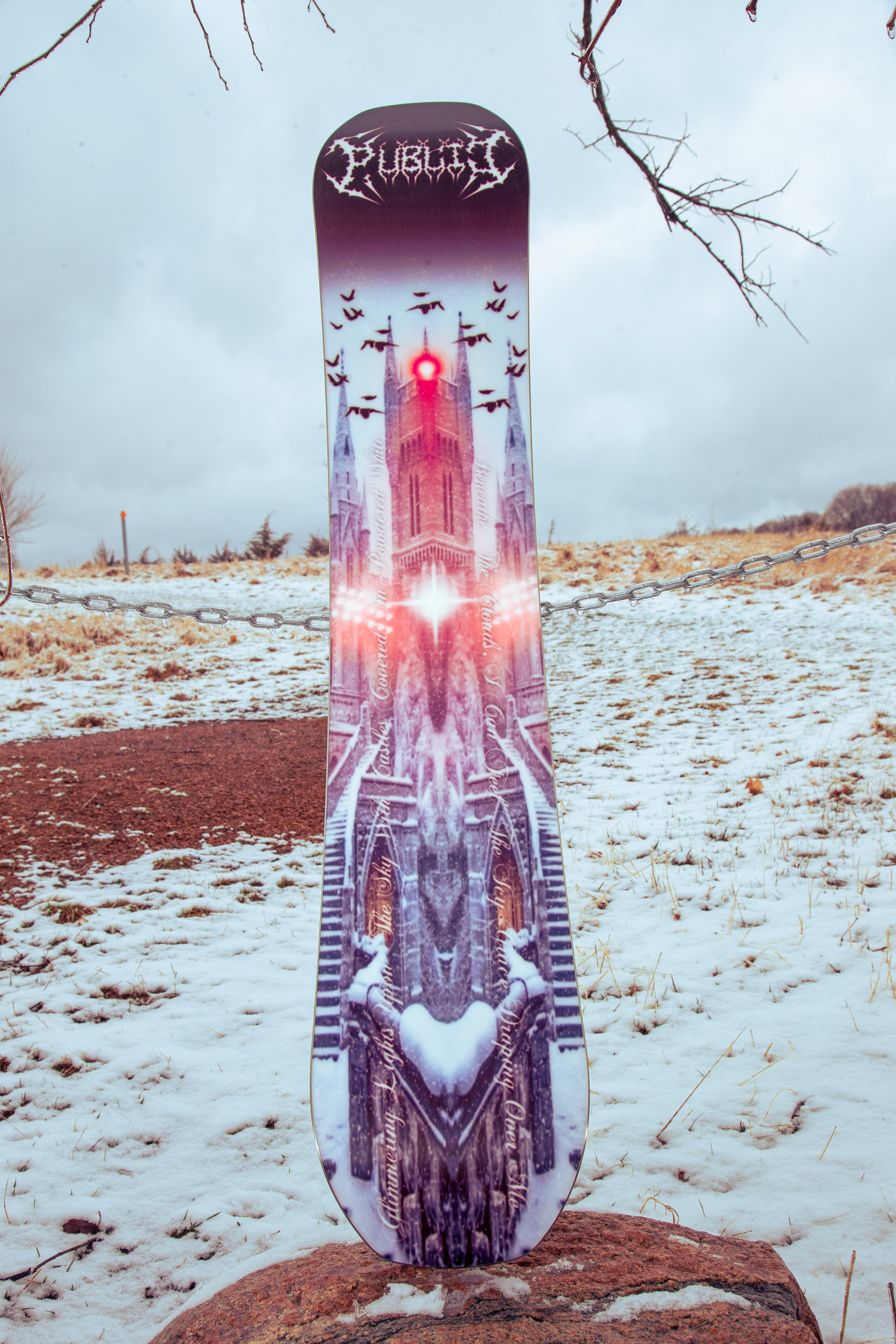 PUBLIC Dispute 153 – PUBLIC snowboards