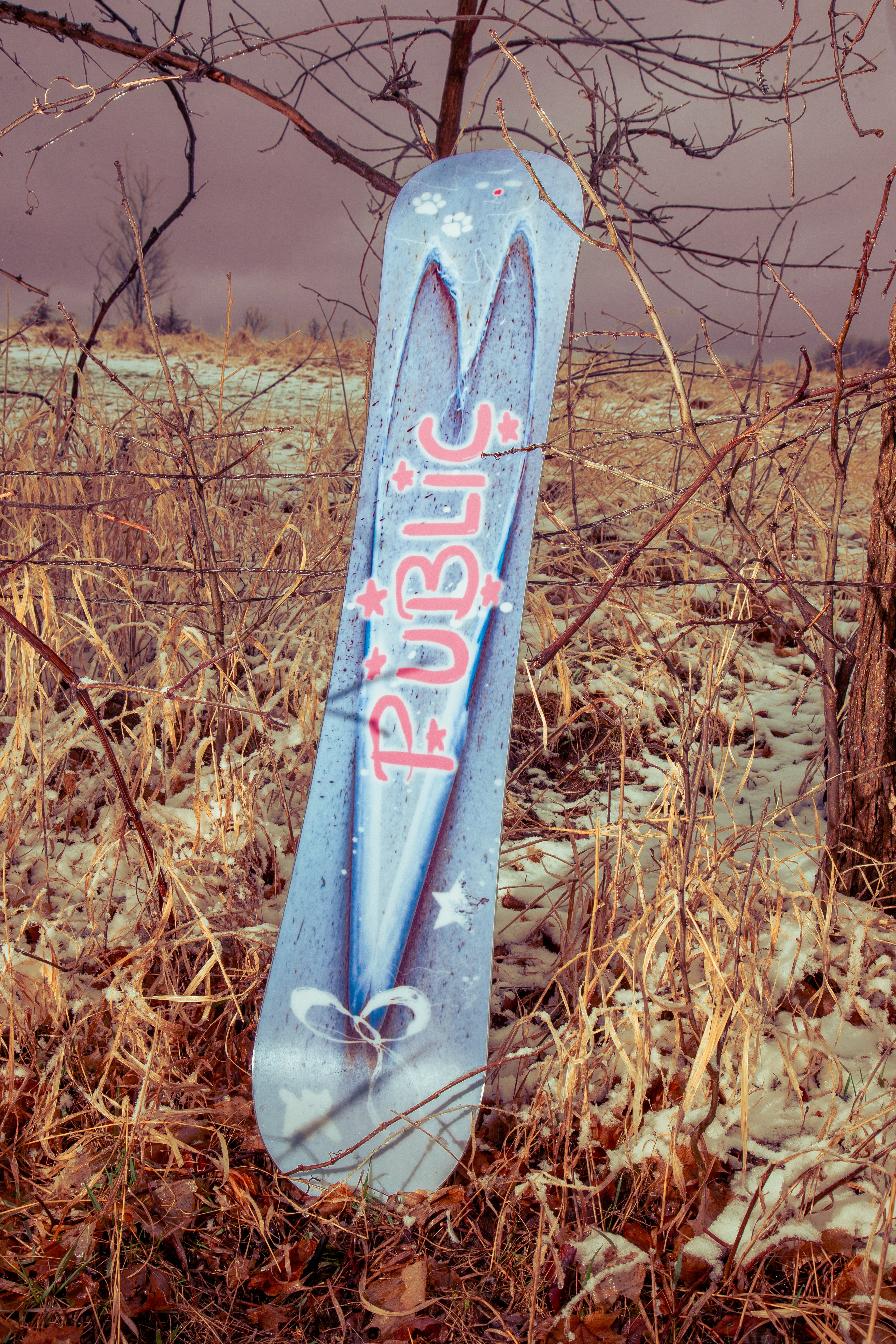 PUBLIC Jibgurl 144 – PUBLIC snowboards