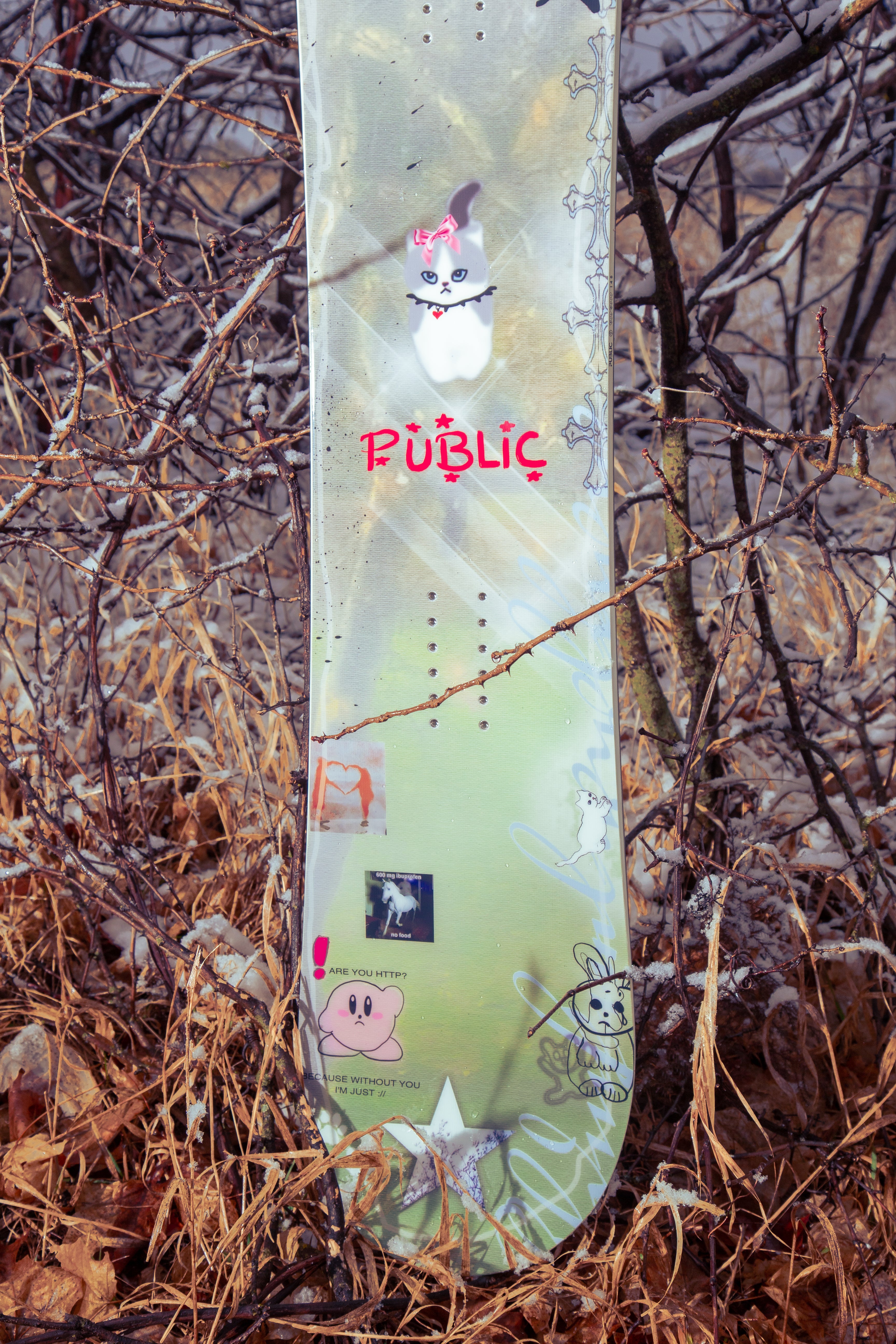 ジプシーガール PUBLIC Jibgurl 148 – PUBLIC snowboards
