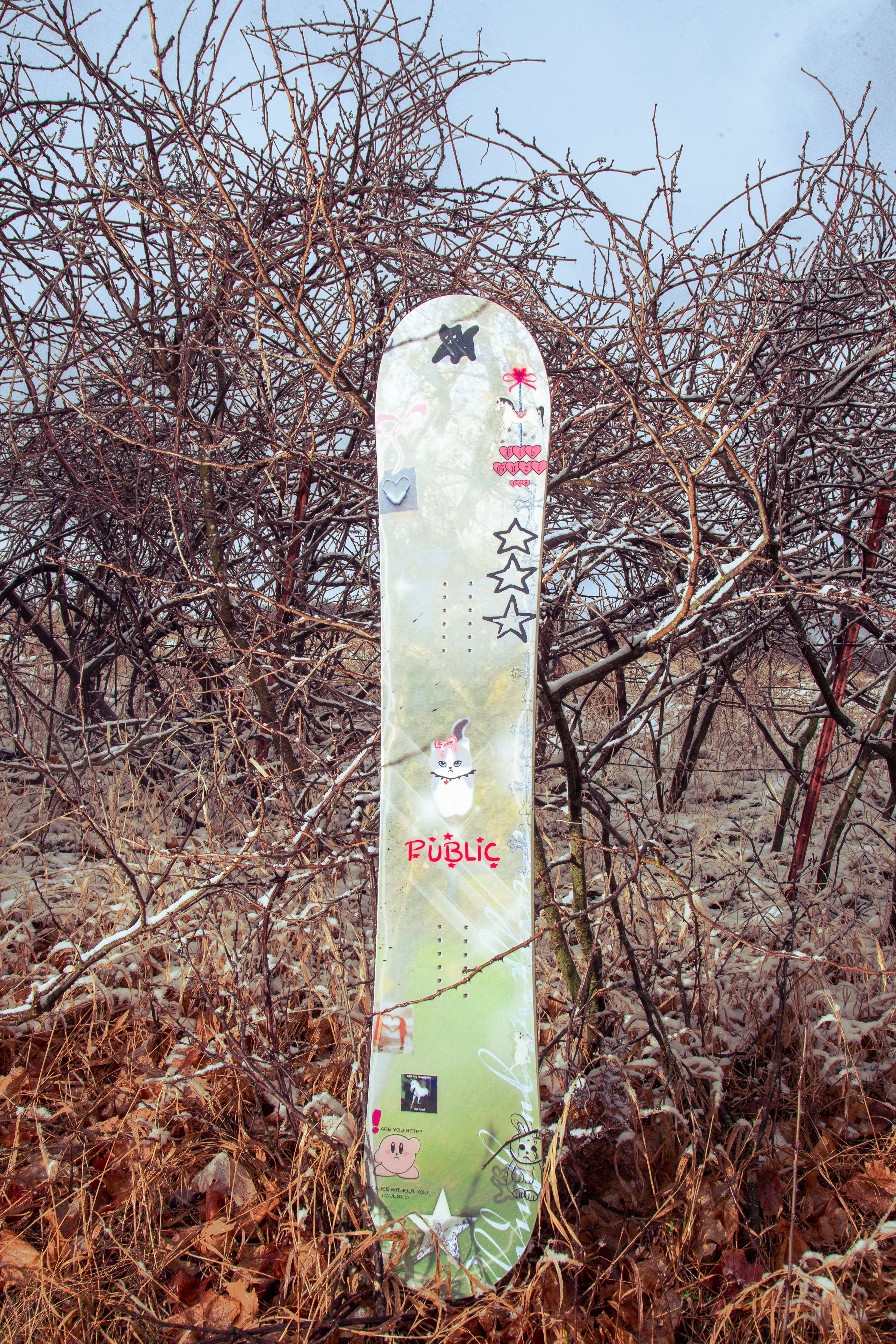 PUBLIC Jibgurl 148 – PUBLIC snowboards